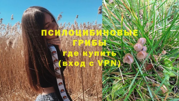 дживик Алексин
