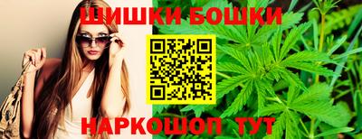 молекула духа Лесосибирск