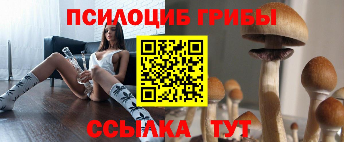 Галлюциногенные грибы Psilocybe  Вход с VPN  Галлюциногенные грибы мицелий  Усолье-Сибирское 